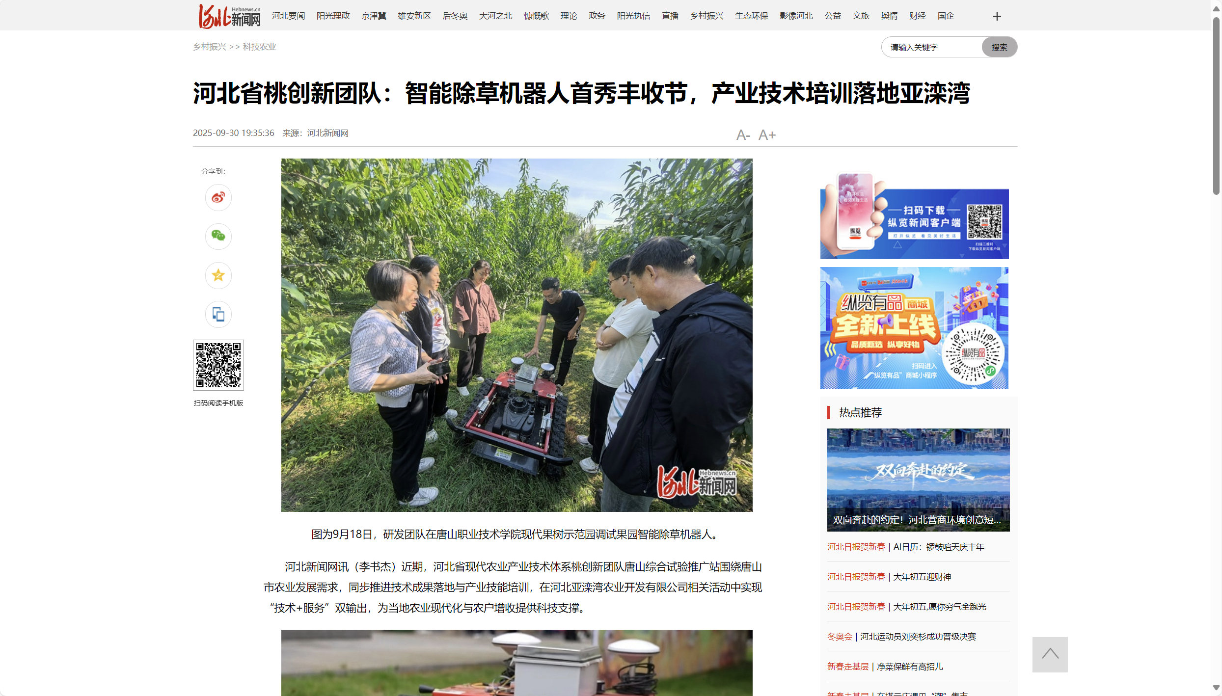 河北新闻网报道